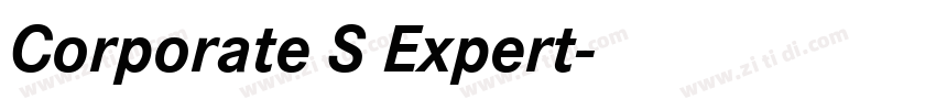 Corporate S Expert字体转换